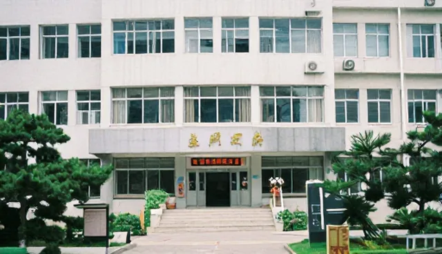 为本地优化性能:技术匹配下的软件研发新方向
